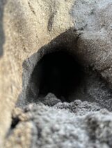 提携サイト＞行政書士東浦事務所